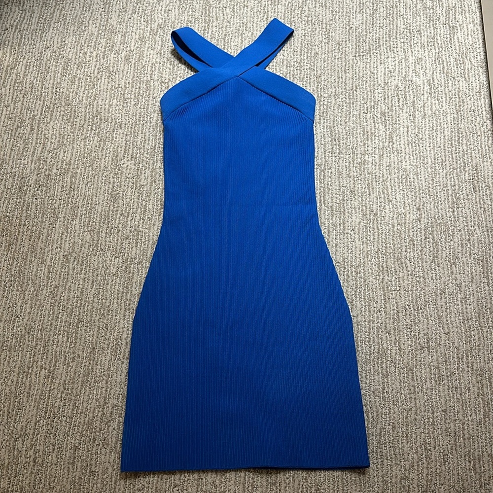 Aritzia Babaton Mini Dress